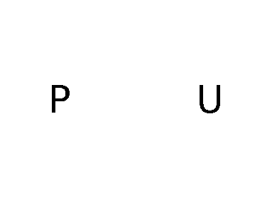 P U